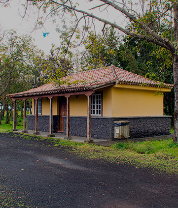 <span>26 de mayo</span><br />
<div>La Laguna de Barlovento</div>